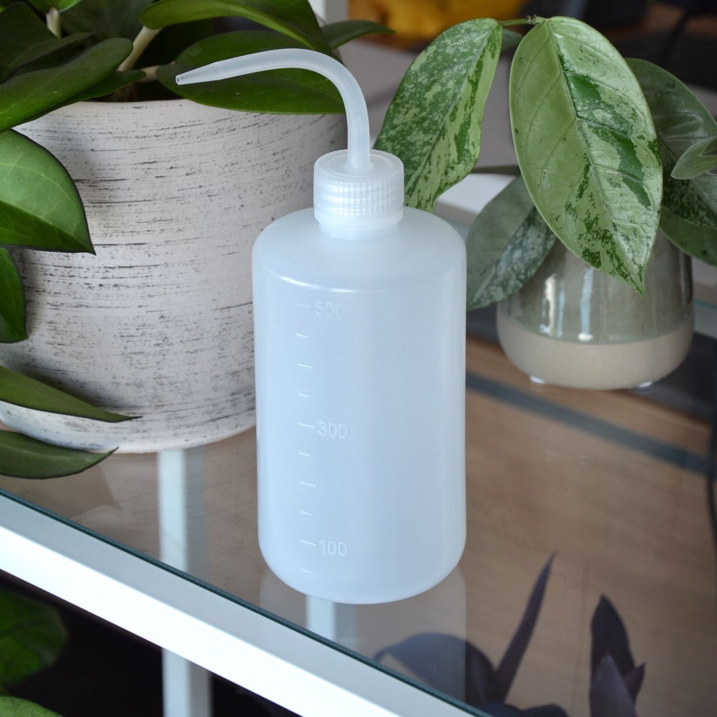 Bewässerungsflasche, Kunststoff, transparent, 500 ml