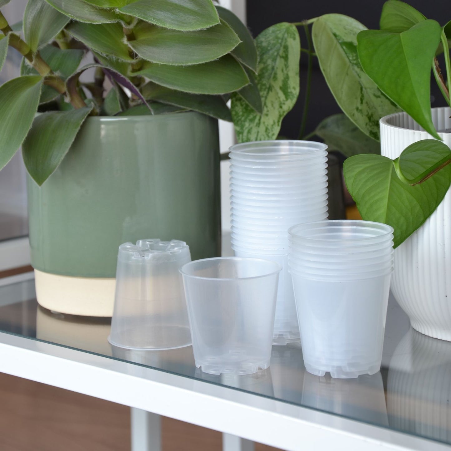 Pflanztopf, rund, Kunststoff, transparent, Ø 6 cm