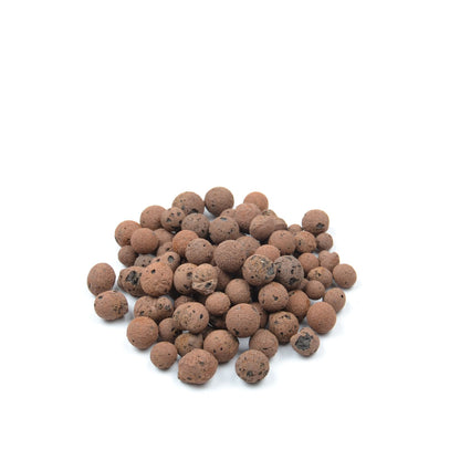 Blähton (Körnung 8-16 mm), 1 L