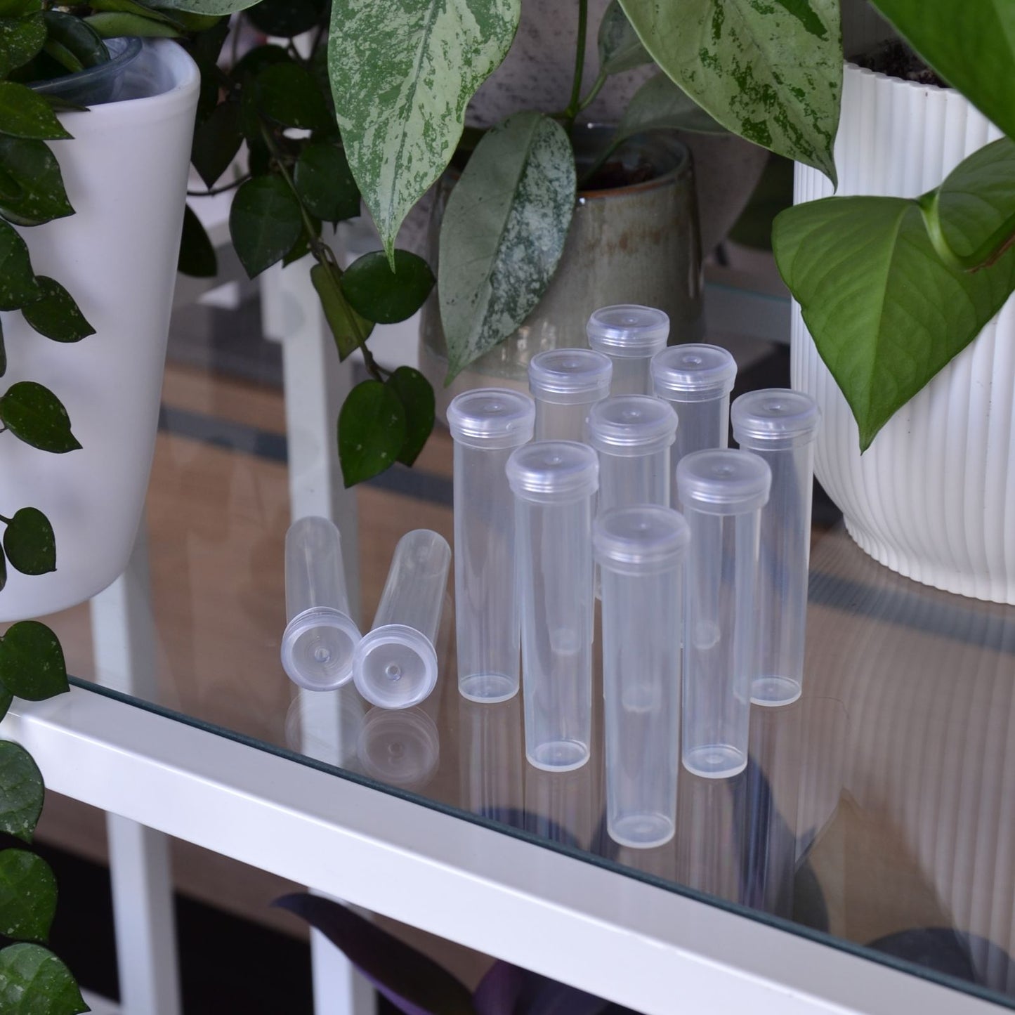 Blumen-Wasserröhrchen, Kunststoff, transparent, Ø 1,8 cm