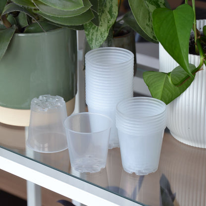 Pflanztopf, rund, Kunststoff, transparent, Ø 6 cm