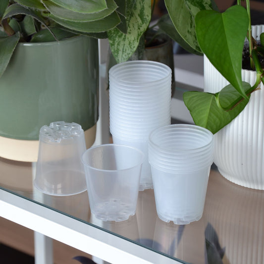 Pflanztopf, rund, Kunststoff, transparent, Ø 6 cm